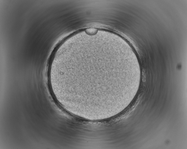 X0000116770987201001141447