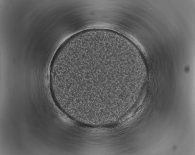 X0000116770988201001141447