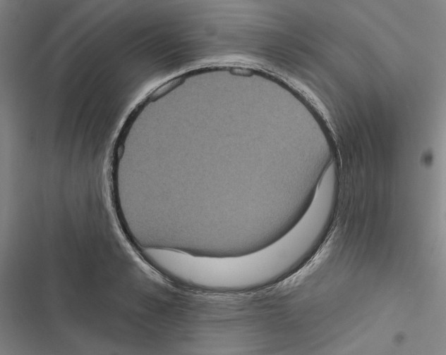 X0000116770989201001141447