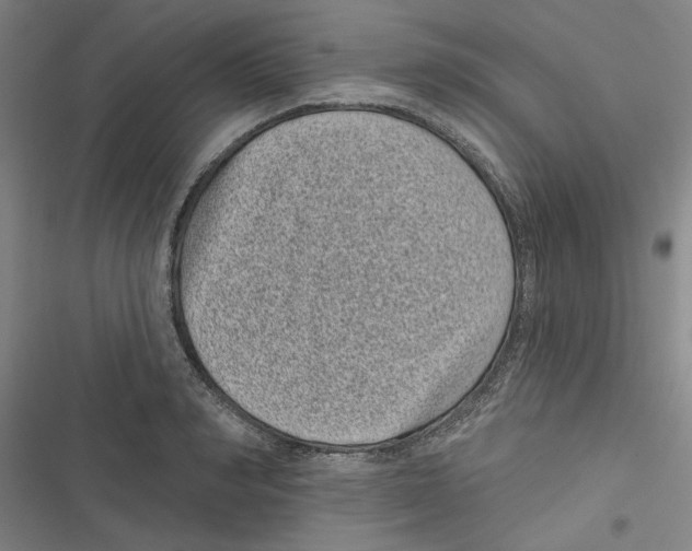 X0000116770990201001141447