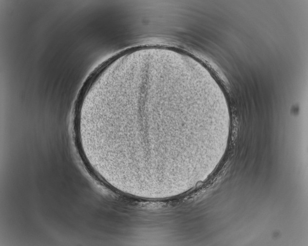 X0000116770991201001141447