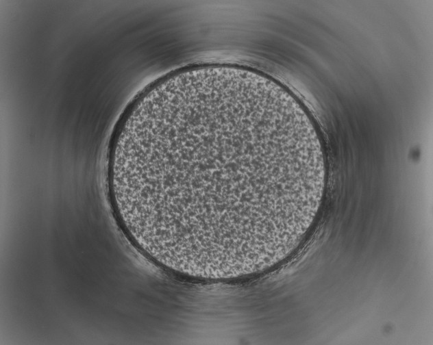 X0000116770992201001141447