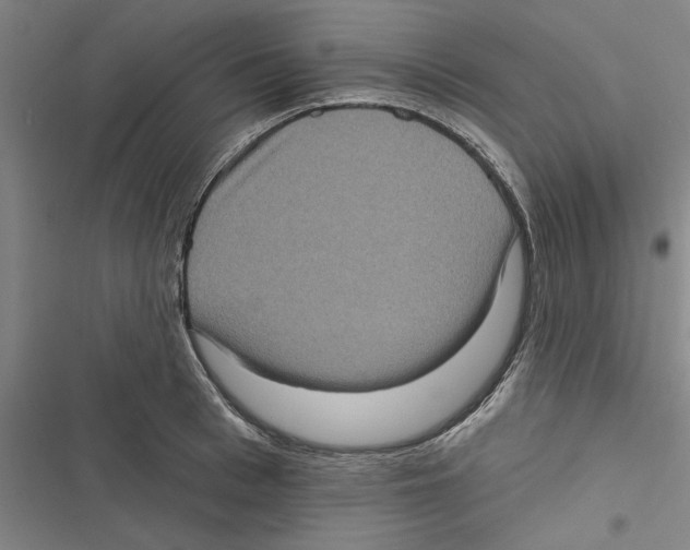 X0000116770993201001141447