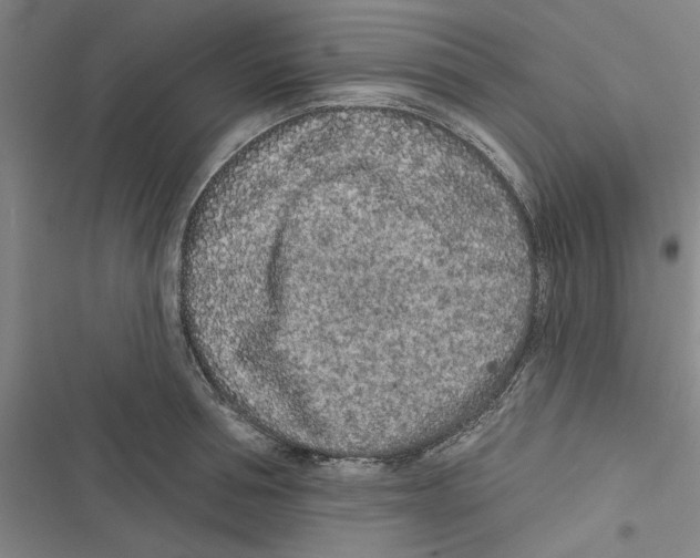 X0000116770994201001141447