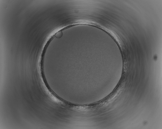 X0000116770995201001141447