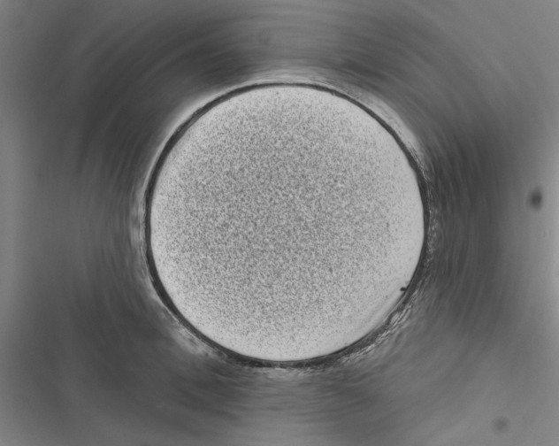X0000116770996201001141447