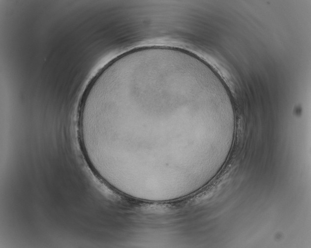 X0000116770998201001141447