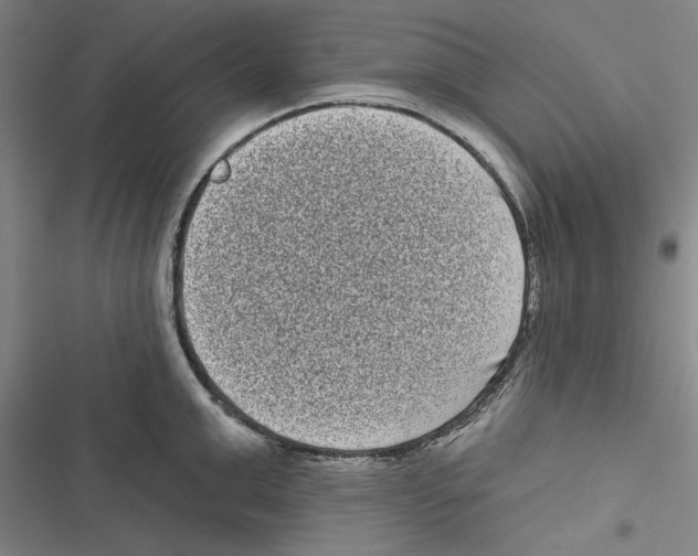 X0000116770999201001141447