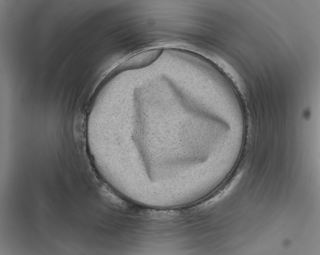 X0000116771001201001141447