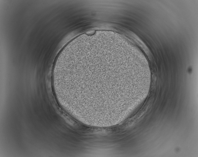 X0000116771002201001141447