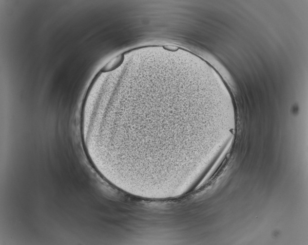 X0000116771004201001141447