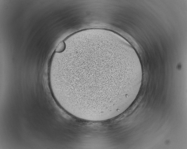 X0000116771006201001141447