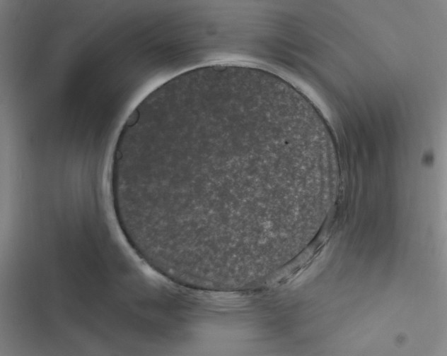 X0000116771007201001141447