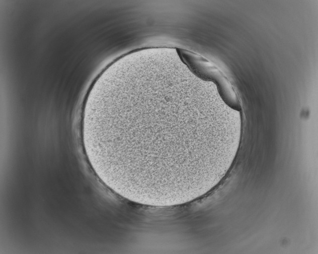 X0000116771008201001141447