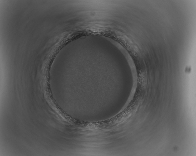 X0000116771009201001141446