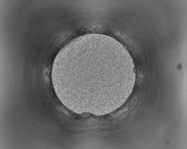 X0000116771010201001141446