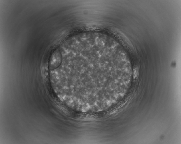 X0000116771011201001141446