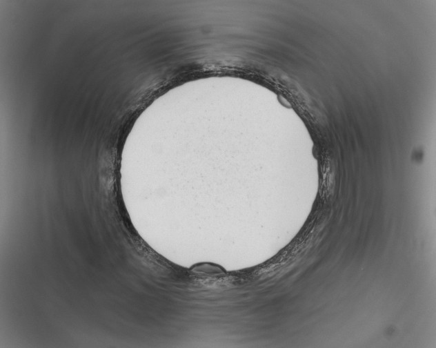 X0000116771012201001141446