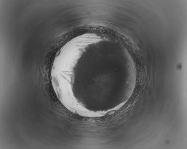 X0000116771013201001141446