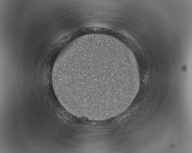 X0000116771014201001141446