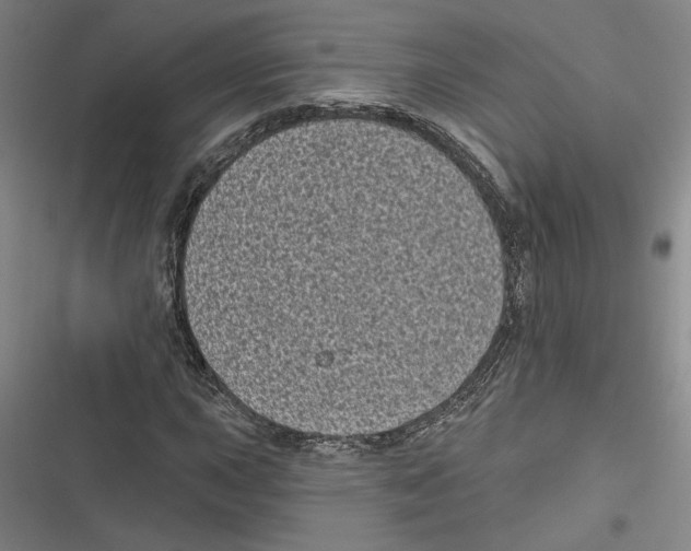 X0000116771015201001141446