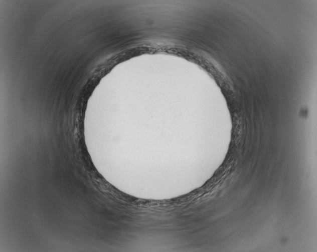 X0000116771016201001141446