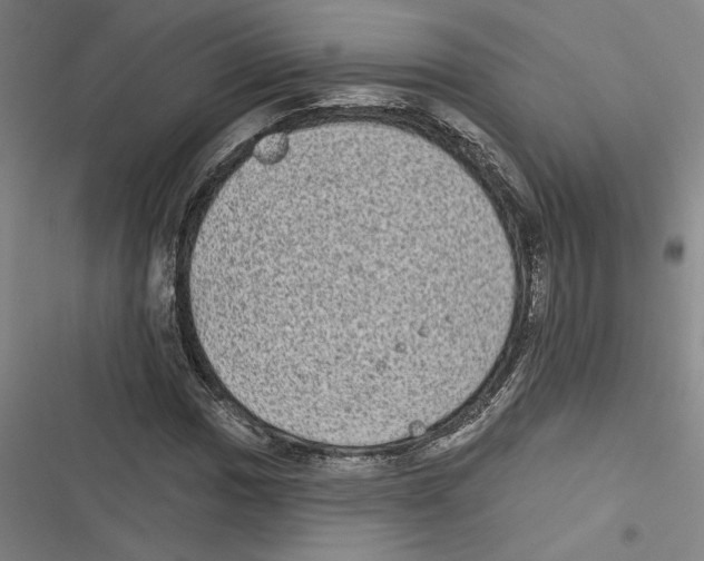 X0000116771017201001141446