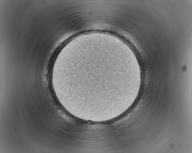 X0000116771018201001141446