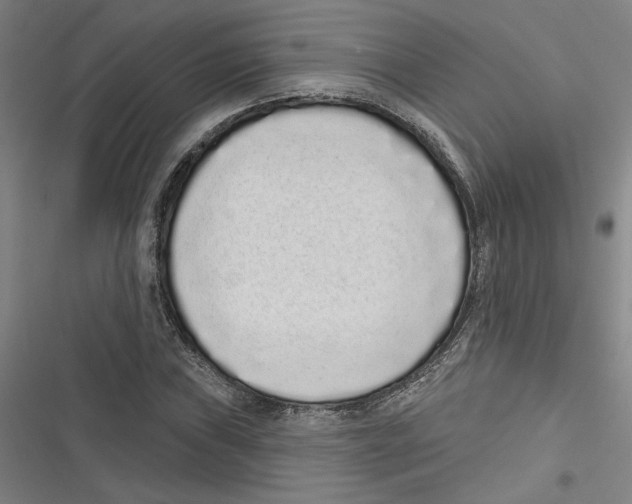 X0000116771019201001141446