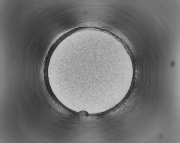 X0000116771020201001141446