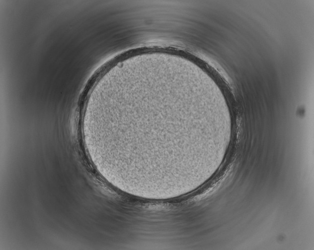 X0000116771021201001141446