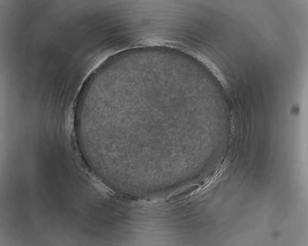 X0000116771023201001141446