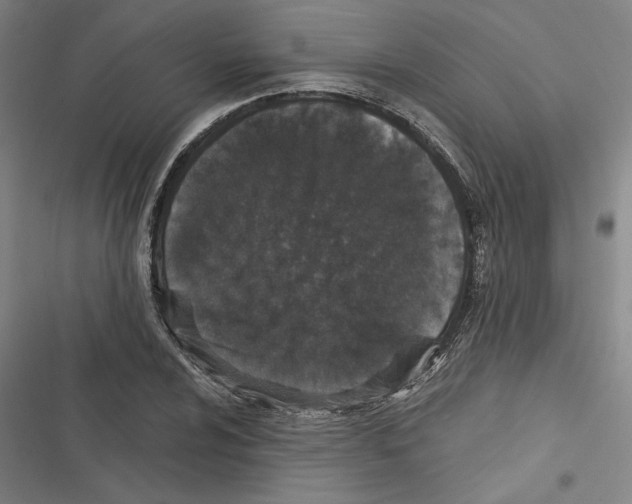 X0000116771024201001141446