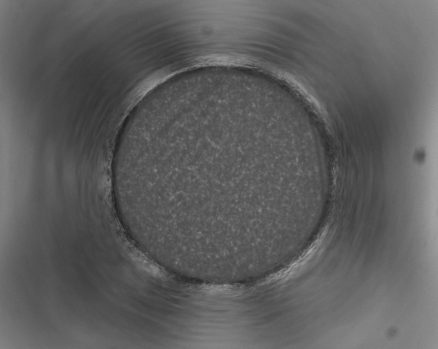 X0000116771025201001141446