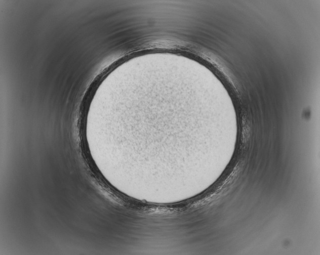 X0000116771026201001141446