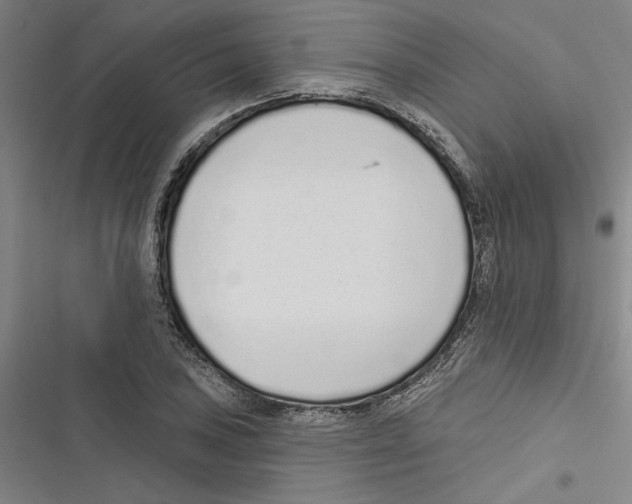 X0000116771027201001141446