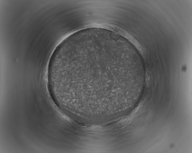 X0000116771028201001141446