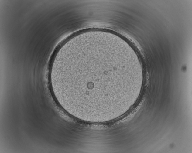 X0000116771029201001141446