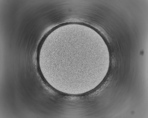 X0000116771030201001141446