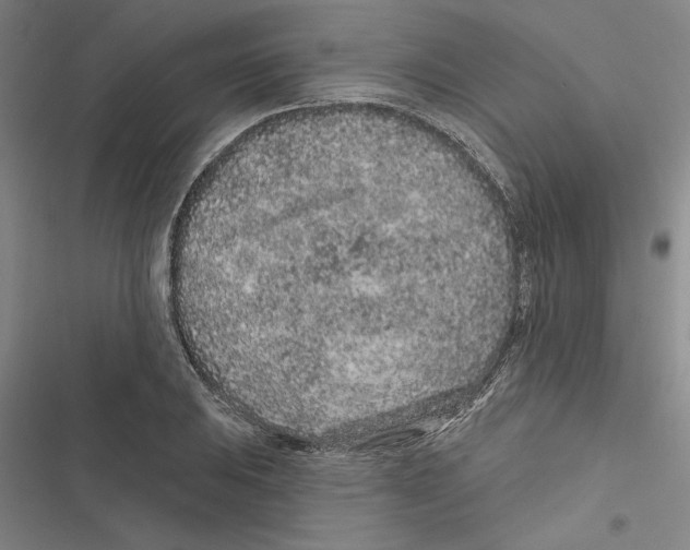 X0000116771031201001141446