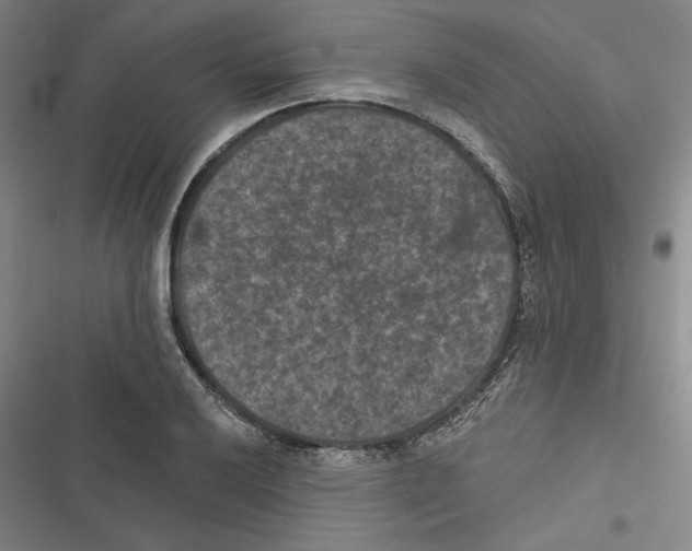 X0000116771032201001141446