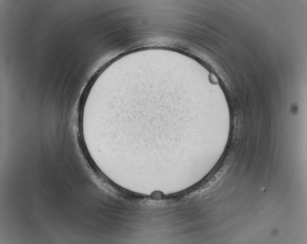 X0000116771034201001141446