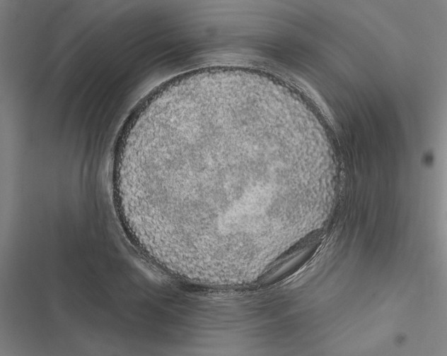 X0000116771035201001141446