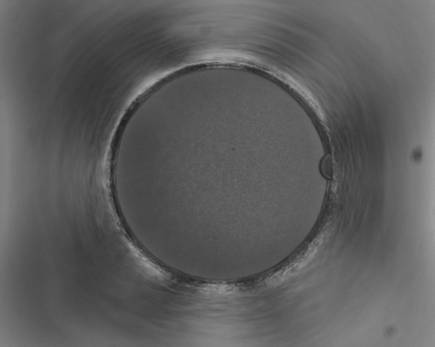 X0000116771037201001141446