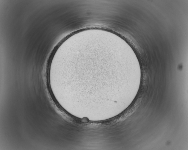 X0000116771038201001141446