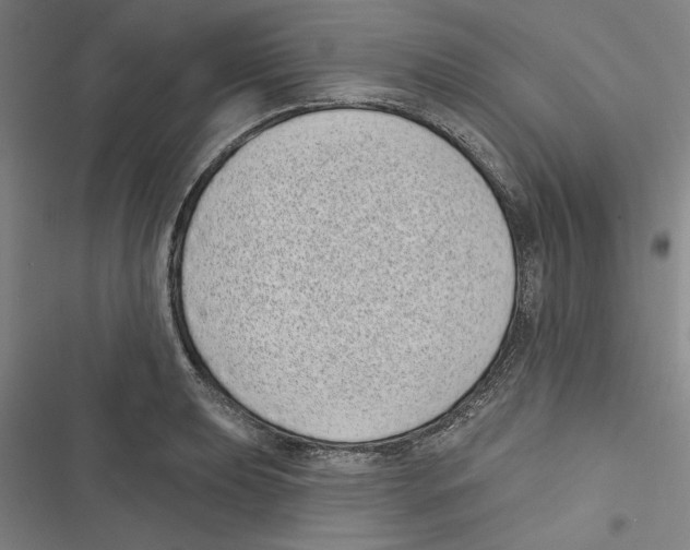 X0000116771039201001141446