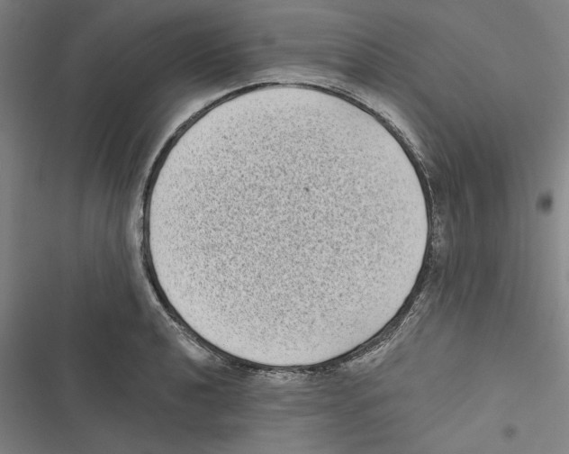 X0000116771040201001141446