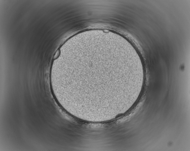 X0000116771041201001141446
