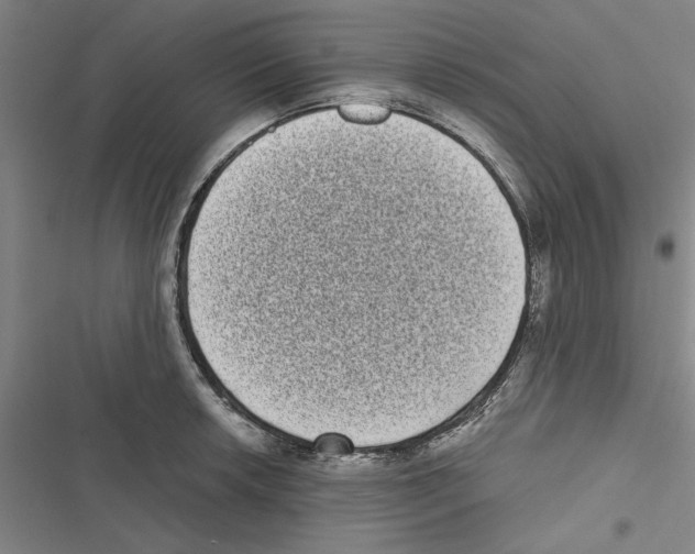 X0000116771042201001141446