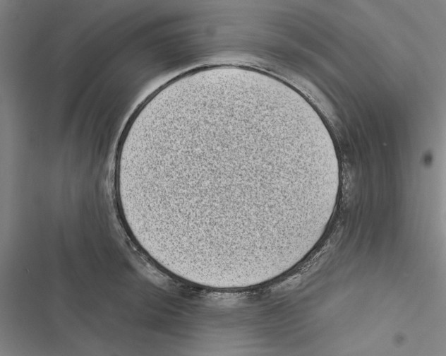 X0000116771044201001141446
